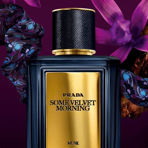 Prada Some Velvet Morning Musk men 